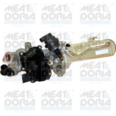 EGR Valve